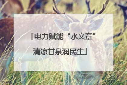 电力赋能“水文章” 清凉甘泉润民生