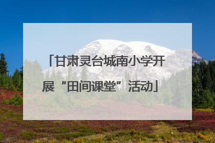 甘肃灵台城南小学开展“田间课堂”活动