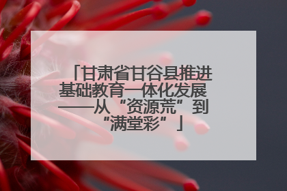甘肃省甘谷县推进基础教育一体化发展——从“资源荒”到“满堂彩”
