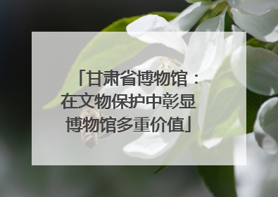 甘肃省博物馆：在文物保护中彰显博物馆多重价值