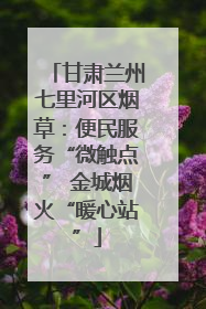 甘肃兰州七里河区烟草：便民服务“微触点” 金城烟火“暖心站”