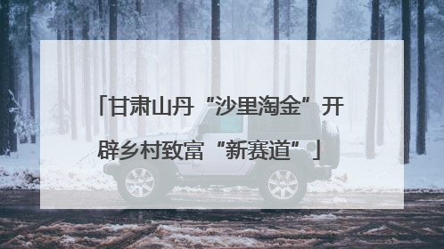 甘肃山丹“沙里淘金”开辟乡村致富“新赛道”