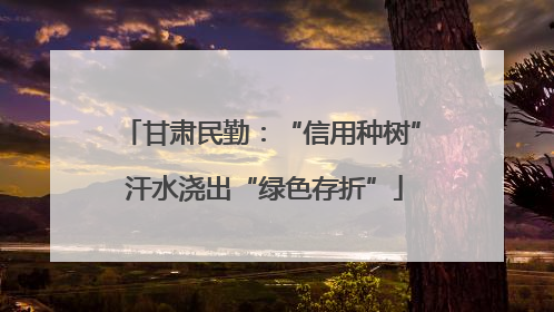 甘肃民勤：“信用种树” 汗水浇出“绿色存折”