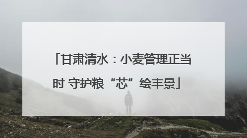 甘肃清水：小麦管理正当时 守护粮“芯”绘丰景