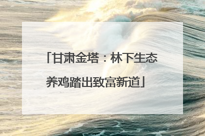 甘肃金塔：林下生态养鸡踏出致富新道