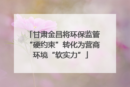 甘肃金昌将环保监管“硬约束”转化为营商环境“软实力”