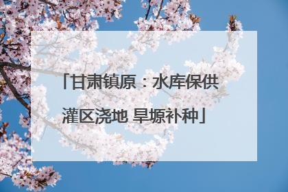 甘肃镇原：水库保供 灌区浇地 旱塬补种