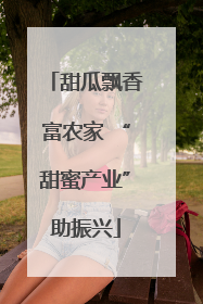 甜瓜飘香富农家 “甜蜜产业”助振兴