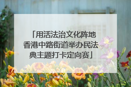 用活法治文化阵地 香港中路街道举办民法典主题打卡定向赛