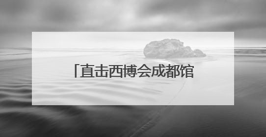 直击西博会成都馆：机器狗炫舞、手术机器人展现精准，沉浸式体验受热捧