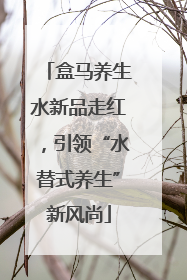 盒马养生水新品走红，引领“水替式养生”新风尚