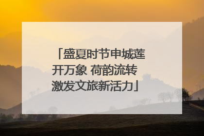 盛夏时节申城莲开万象 荷韵流转激发文旅新活力