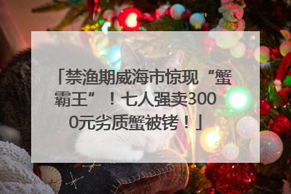 禁渔期威海市惊现“蟹霸王”！七人强卖3000元劣质蟹被铐！