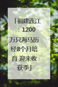 福建连江：1200万只海马历经8个月培育 迎来收获季