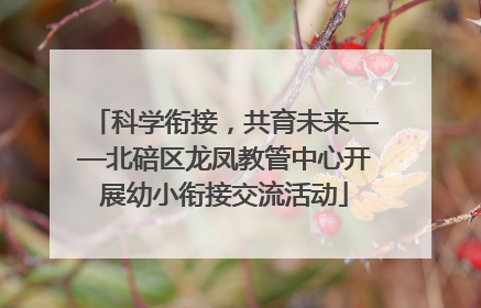 科学衔接，共育未来——北碚区龙凤教管中心开展幼小衔接交流活动