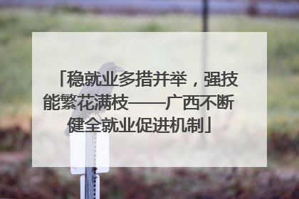 稳就业多措并举，强技能繁花满枝——广西不断健全就业促进机制