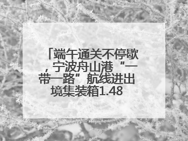 端午通关不停歇，宁波舟山港“一带一路”航线进出境集装箱1.48万标箱