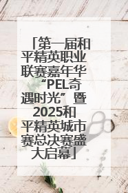 第一届和平精英职业联赛嘉年华“PEL奇遇时光”暨2025和平精英城市赛总决赛盛大启幕