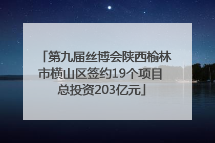 第九届丝博会陕西榆林市横山区签约19个项目 总投资203亿元