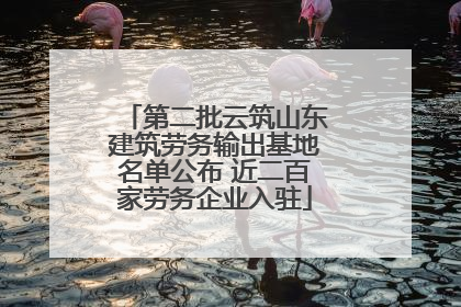 第二批云筑山东建筑劳务输出基地名单公布 近二百家劳务企业入驻