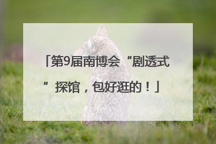 第9届南博会“剧透式”探馆，包好逛的！