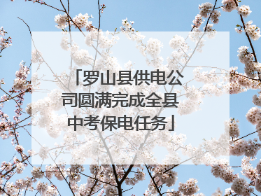 罗山县供电公司圆满完成全县中考保电任务