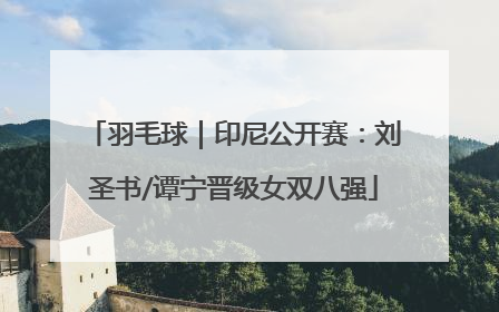 羽毛球｜印尼公开赛：刘圣书/谭宁晋级女双八强