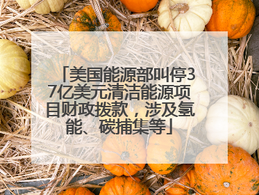 美国能源部叫停37亿美元清洁能源项目财政拨款，涉及氢能、碳捕集等