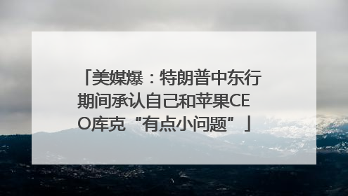 美媒爆：特朗普中东行期间承认自己和苹果CEO库克“有点小问题”