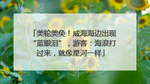 美轮美奂！威海海边出现“蓝眼泪”，游客：海浪打过来，就像星河一样