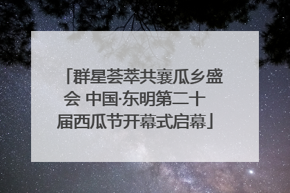 群星荟萃共襄瓜乡盛会 中国·东明第二十届西瓜节开幕式启幕