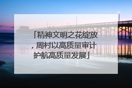 精神文明之花绽放，周村以高质量审计护航高质量发展