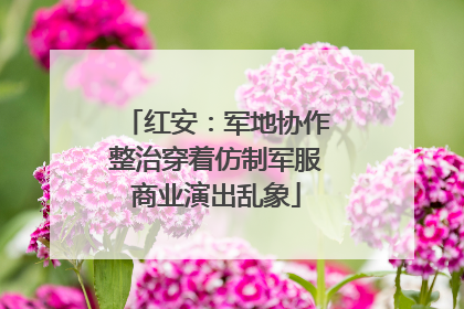 红安：军地协作整治穿着仿制军服商业演出乱象