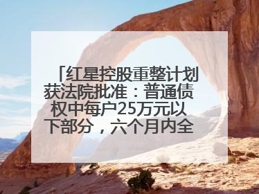 红星控股重整计划获法院批准：普通债权中每户25万元以下部分，六个月内全额现金清偿