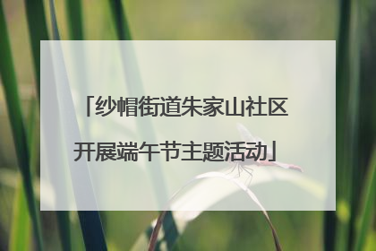 纱帽街道朱家山社区开展端午节主题活动