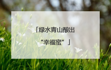 绿水青山酿出“幸福蜜”