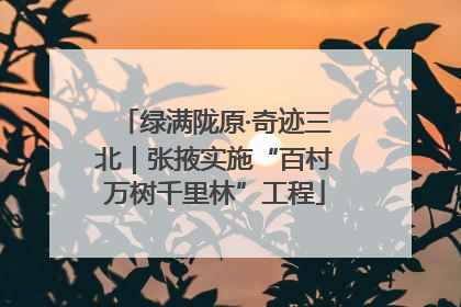 绿满陇原·奇迹三北｜张掖实施“百村万树千里林”工程
