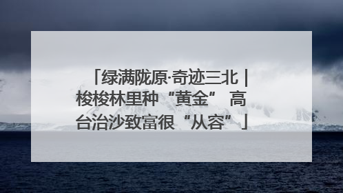 绿满陇原·奇迹三北｜梭梭林里种“黄金” 高台治沙致富很“从容”