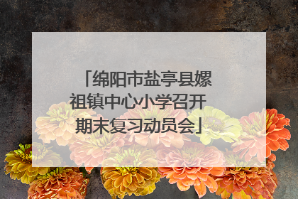绵阳市盐亭县嫘祖镇中心小学召开期末复习动员会