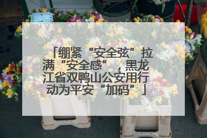绷紧“安全弦”拉满“安全感”，黑龙江省双鸭山公安用行动为平安“加码”