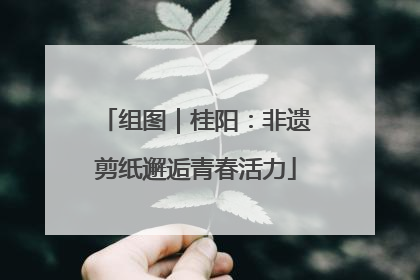 组图｜桂阳：非遗剪纸邂逅青春活力