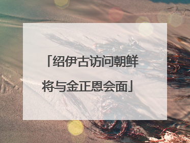 绍伊古访问朝鲜 将与金正恩会面