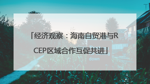 经济观察：海南自贸港与RCEP区域合作互促共进