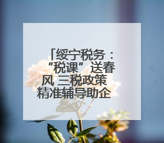 绥宁税务：“税课”送春风 三税政策精准辅导助企合规经营