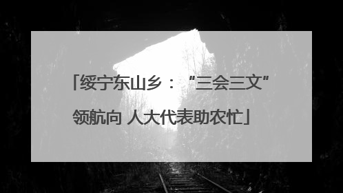 绥宁东山乡：“三会三文”领航向 人大代表助农忙