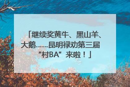 继续奖黄牛、黑山羊、大鹅……昆明禄劝第三届“村BA”来啦！