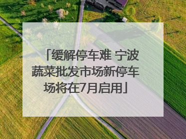 缓解停车难 宁波蔬菜批发市场新停车场将在7月启用