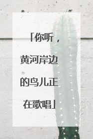 你听，黄河岸边的鸟儿正在歌唱