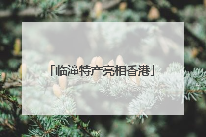 临潼特产亮相香港