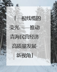 一根线缆的荣光——推动青海民营经济高质量发展·新视角